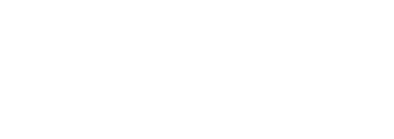 Delfi